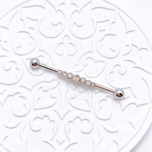 piercing industrial - PM619B