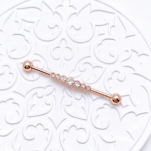 piercing industrial - PM619E