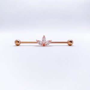 piercing industrial - PM620A
